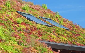 Acaster Malbis living roof systems