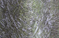 Acaster Malbis fibreglass roof work